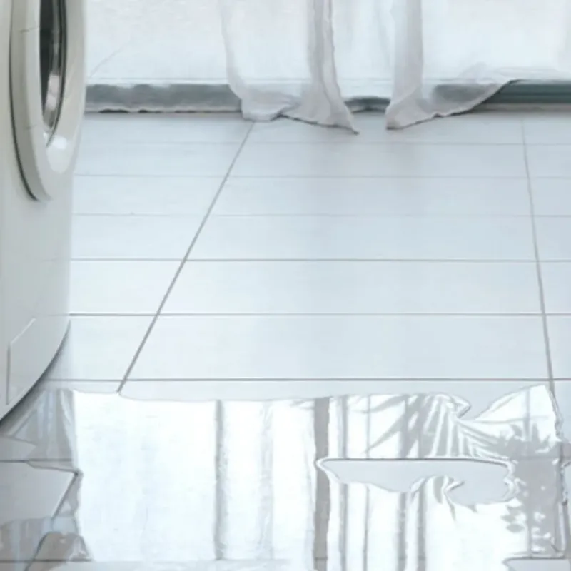 Appliance Leak Cleanup in Bronson, MI