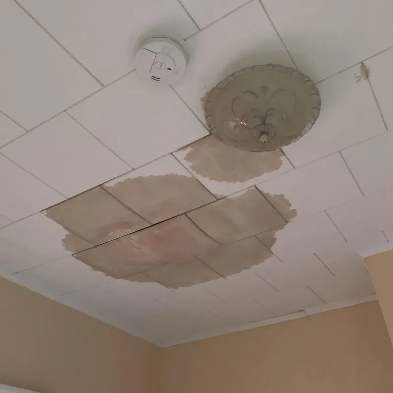 Ceiling Water Damage Repair in Bronson, MI