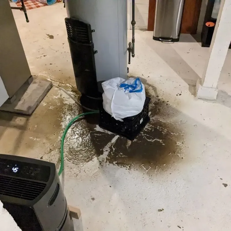 Sewage Backup Cleanup Service in Bronson, MI